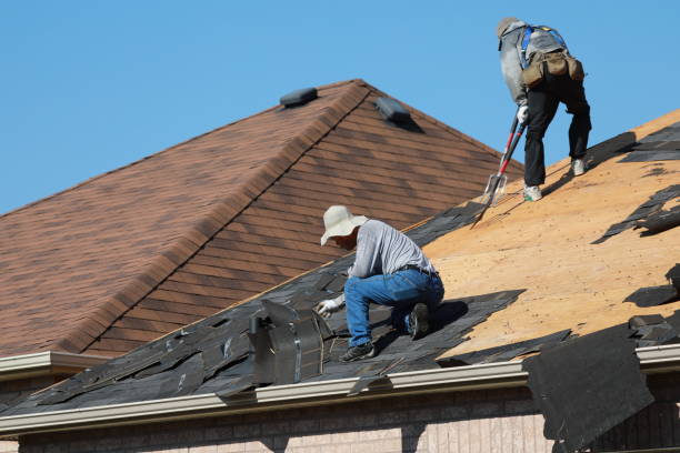 Best Asphalt Shingle Roofing  in Lindsay, TX